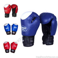 Боксерские перчатки Sun